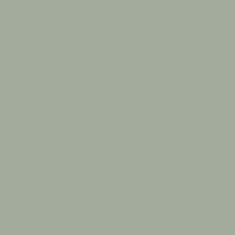 Sage Green Matte | Adhesive Vinyl - various sizes