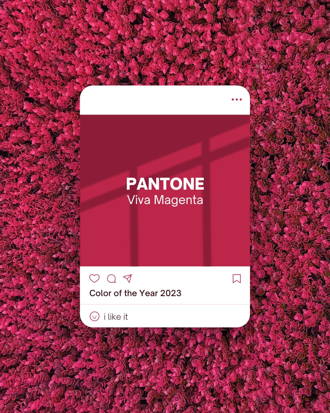Pantone Colour of the Year 2023