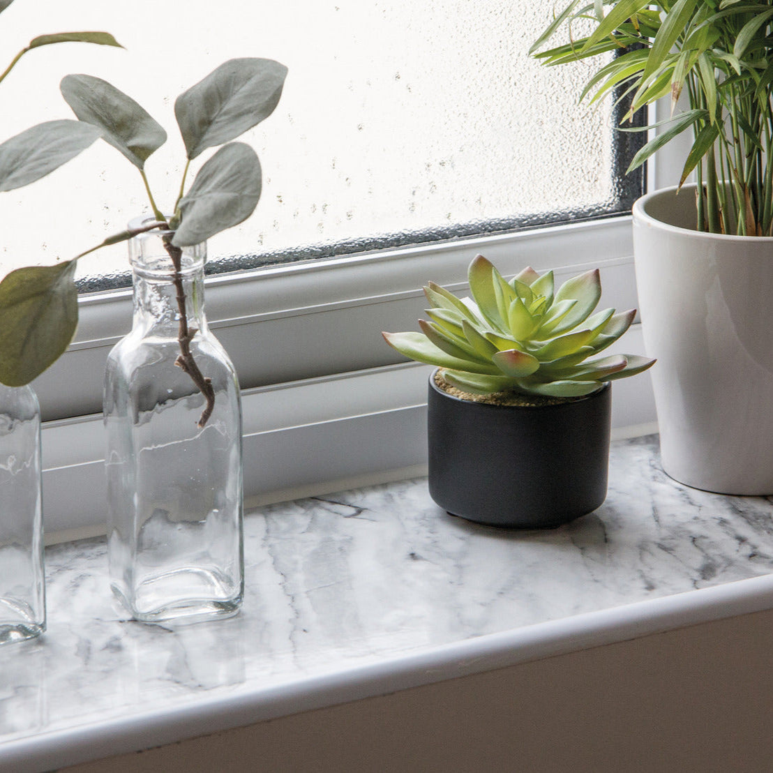 Decorative arrangement of plants and vases on a marble surface with a window in the background.