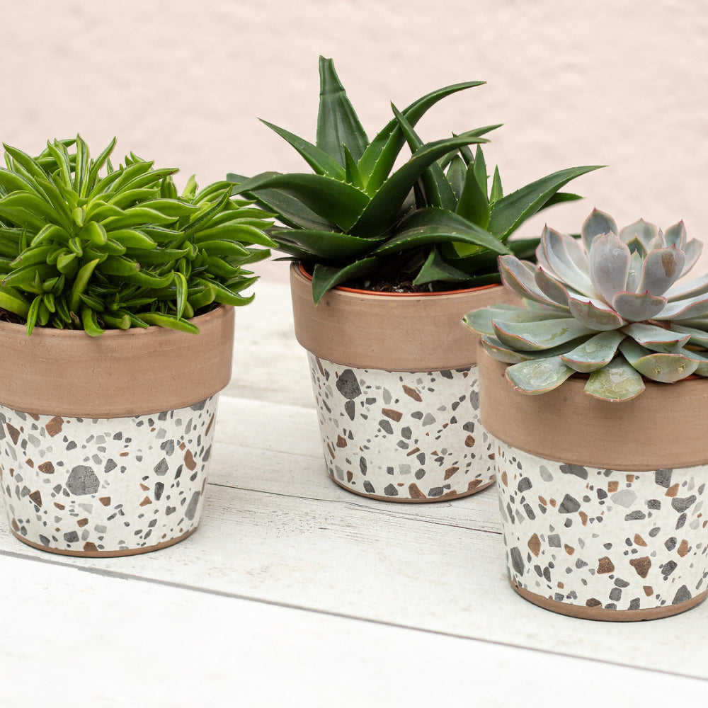 Terrazzo adhesive vinyl flower pot