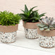 Product image thumbnail 6