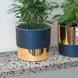 Product image thumbnail 5