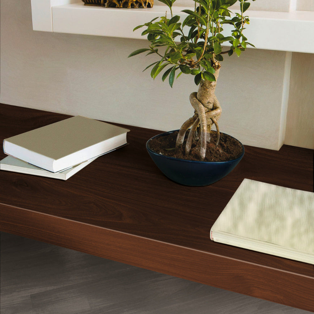 Bonsai tree in a pot on a wooden surface with books and decorative items.