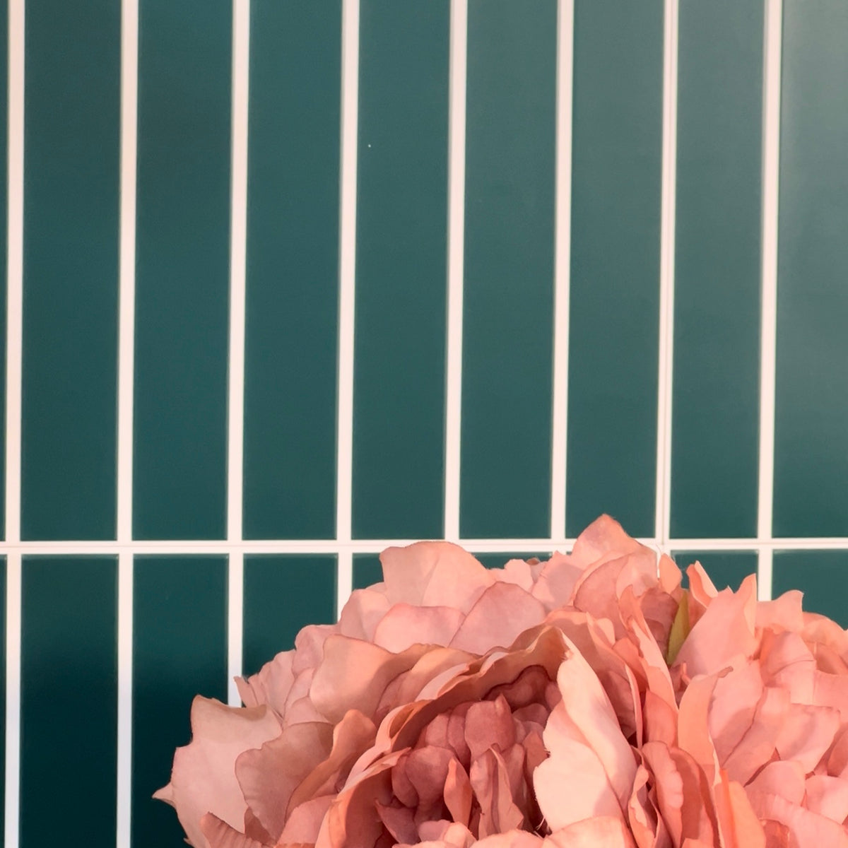 Pink flowers against a green tiled wall with white grout